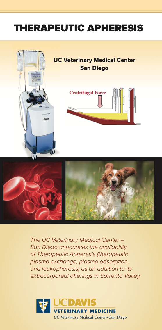 Therapeutic Apheresis Brochure